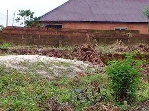 A Land With a 2 Flat on DPC Level