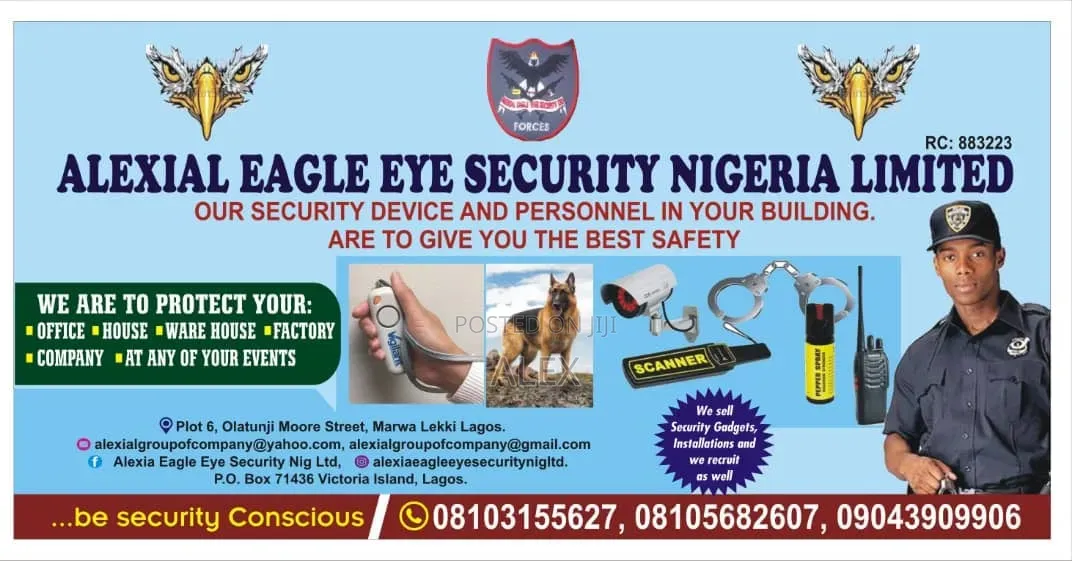 Alexial Eagle Eye Outfit