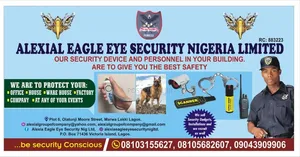 Alexial Eagle Eye Outfit