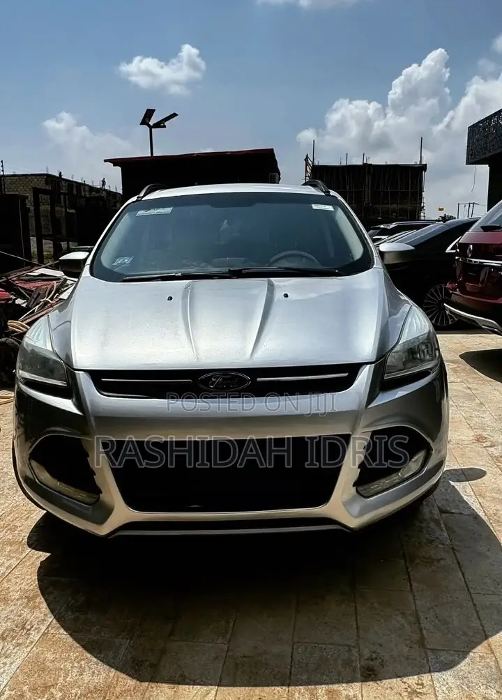 Ford Escape 2014 Silver