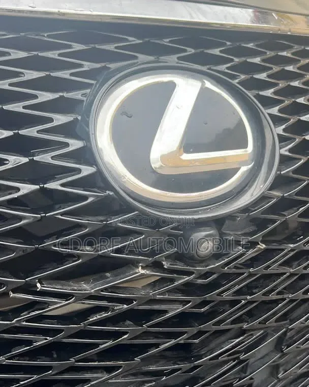 Lexus RX 2018 Gray