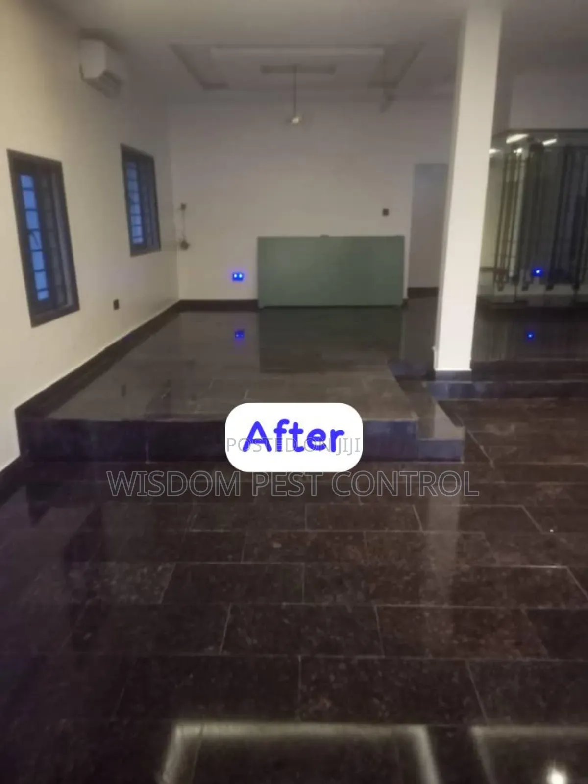 Wisdom Pest Control and Cleaning Services
