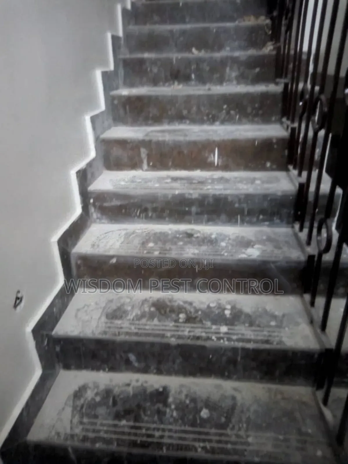 Wisdom Pest Control and Cleaning Services
