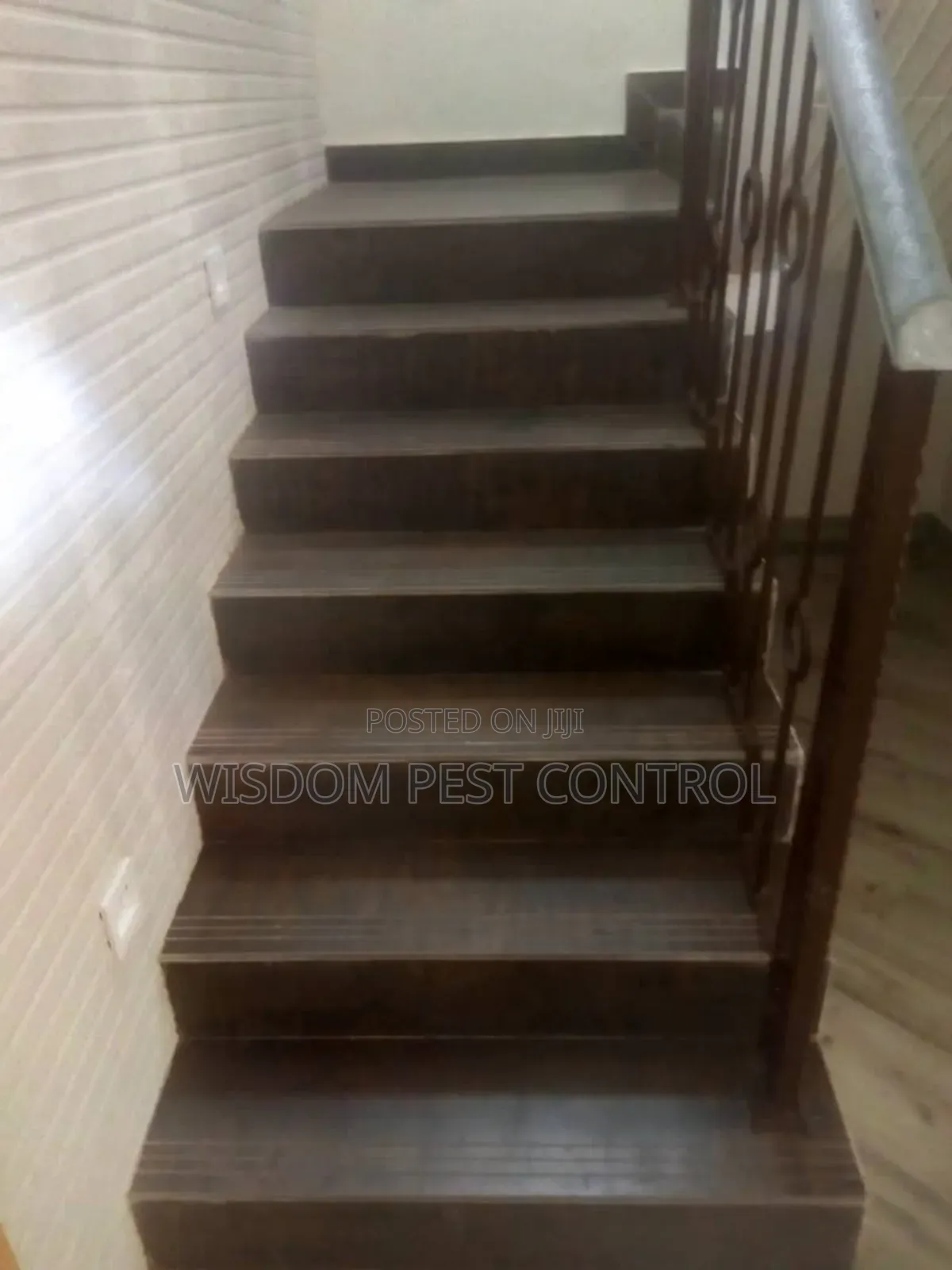 Wisdom Pest Control and Cleaning Services