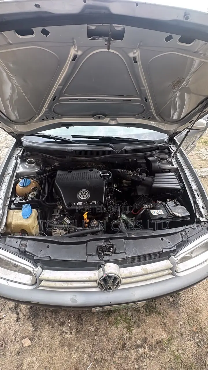 Volkswagen Golf 2006 Silver