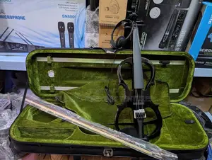 Professional Electric Violin