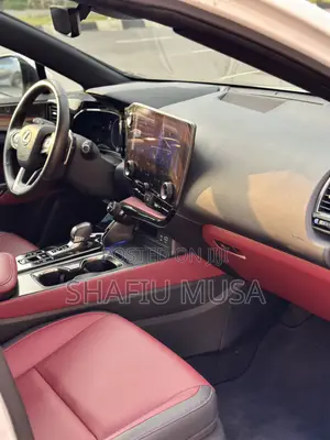 Lexus NX 250 2024 White