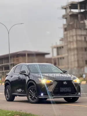 Lexus NX 350 Luxury AWD 2023 Black