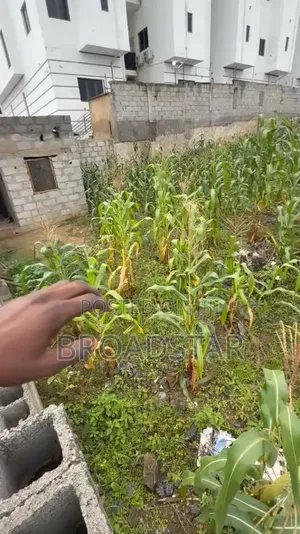 Residential Plot for Sale in Guzape Main, Abuja