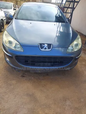 Peugeot 407 2006 Gray