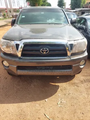 Toyota Tacoma 2010 Gray