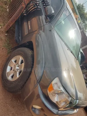 Toyota Tacoma 2010 Gray