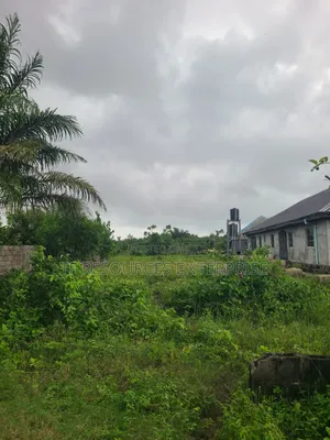 One Plot of Land