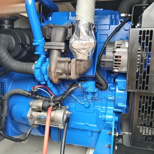 Ecoplus Fgwilson Perkins Generator