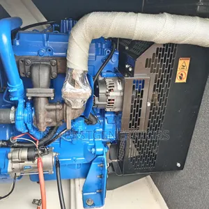 Ecoplus Fgwilson Perkins Generator