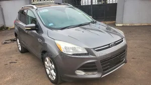 Ford Escape 2014 Gray