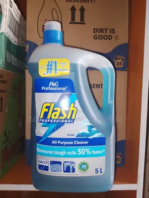 Flash Professional All- Purpose Cleaner (5L×2)