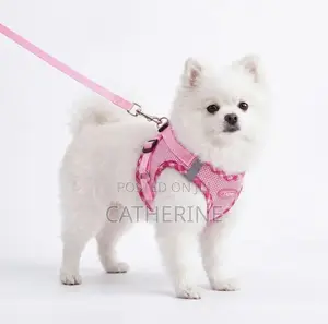 Pet Harness