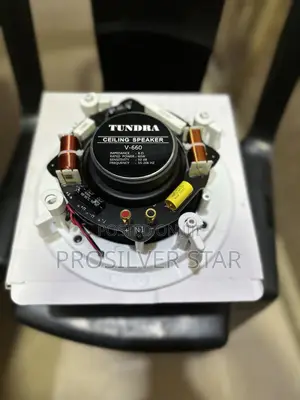 TUNDRA v-660 Ceiling Speaker