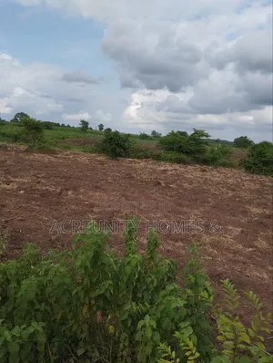 100 Acres of Fertile Farmland for Sale in Awaye, Iseyin LG, Oyo State