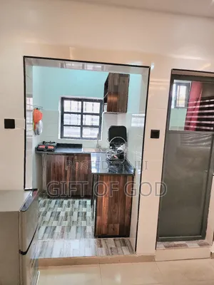 Very Nice Mini One-Bedroom Apartment