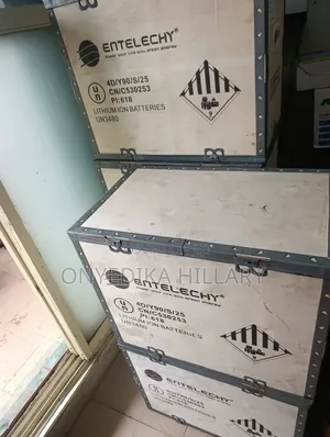 5kwh Entelechy Lithium Battery 24volts