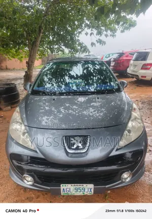 Peugeot 207 2008 Gray