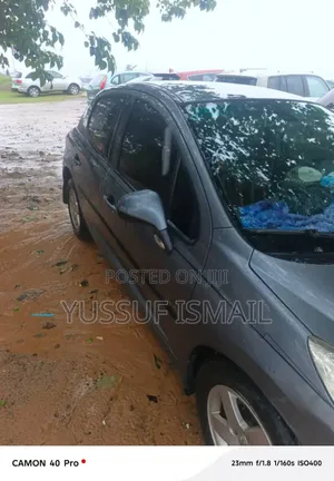 Peugeot 207 2008 Gray