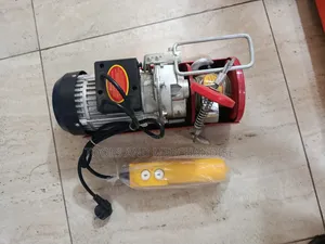 Portable Mini Electric Wire Hoist 500/1000kg