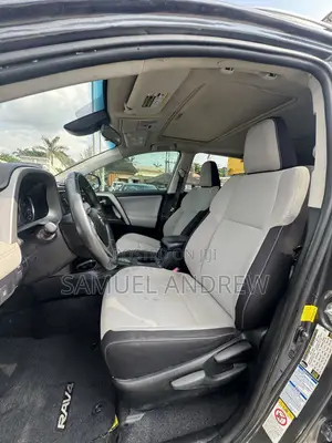 Toyota RAV4 XLE AWD (2.5L 4cyl 6A) 2017 Gray