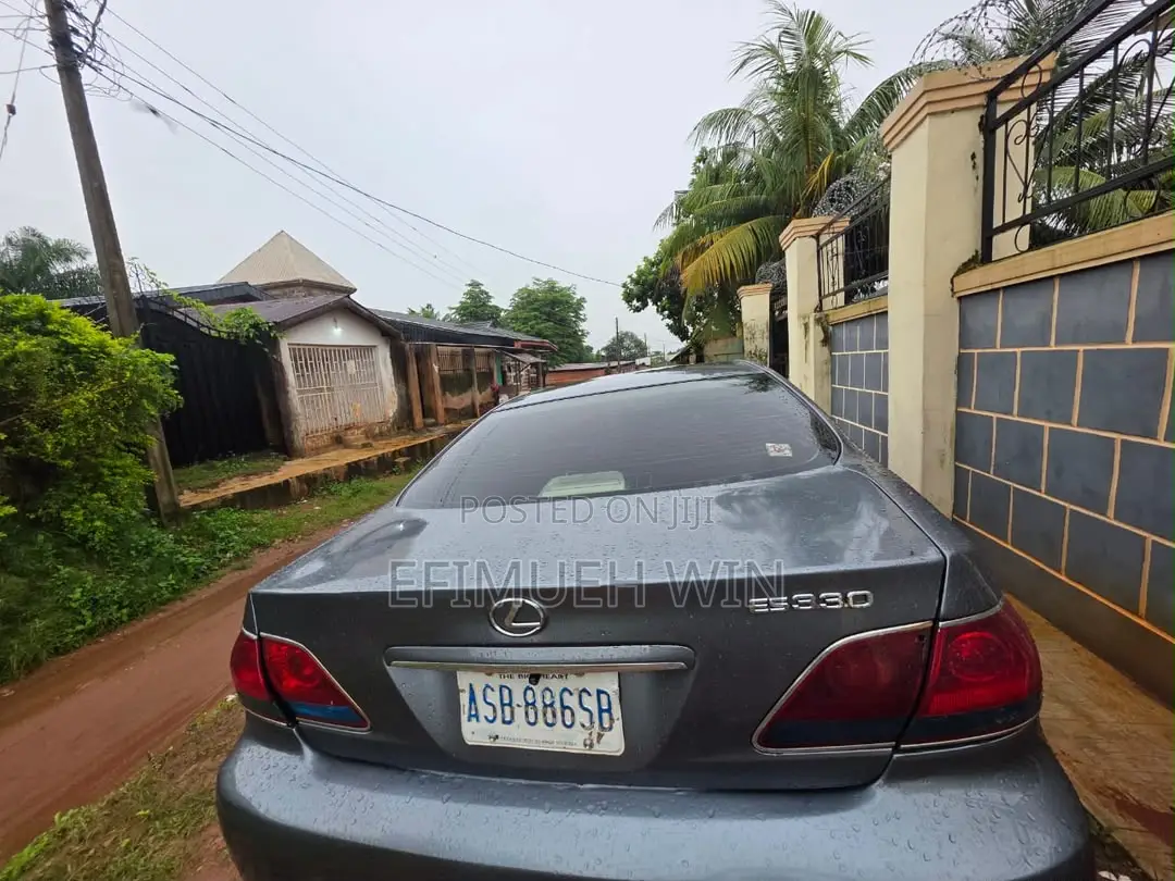 Lexus ES 330 2005 Gray