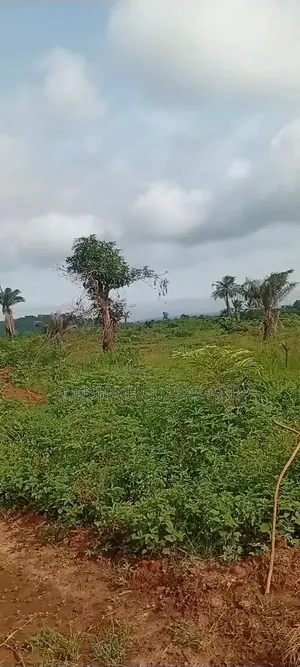 Land for Sale at Obinagu Amangwu Nike Community