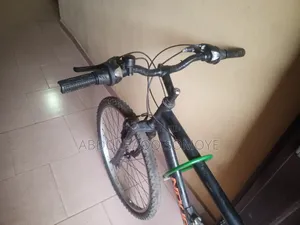 Adult Bicycle