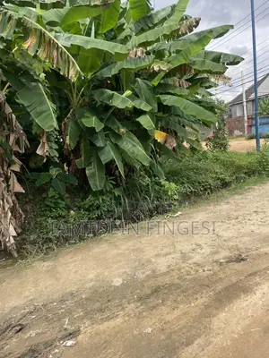 Lands for Sale