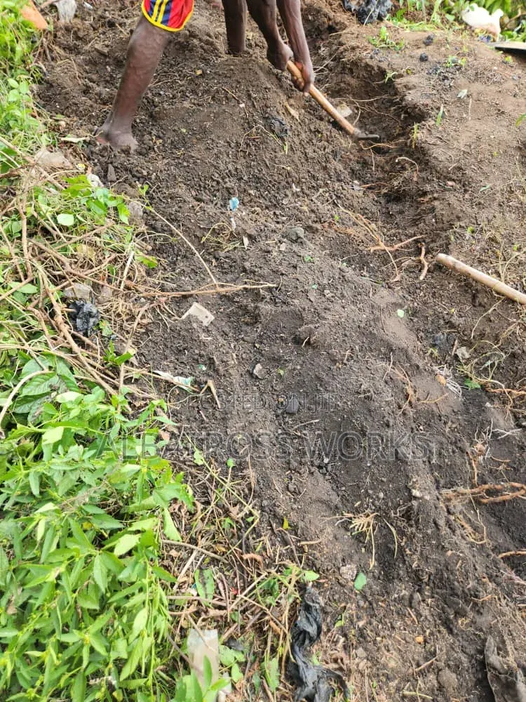 Black Soil/Loamy Soil
