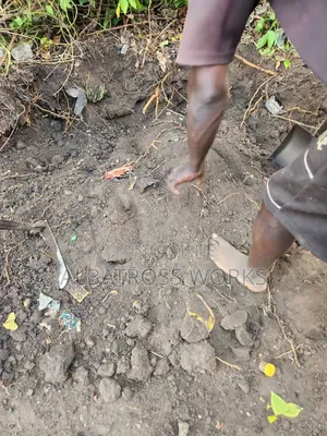 Black Soil/Loamy Soil