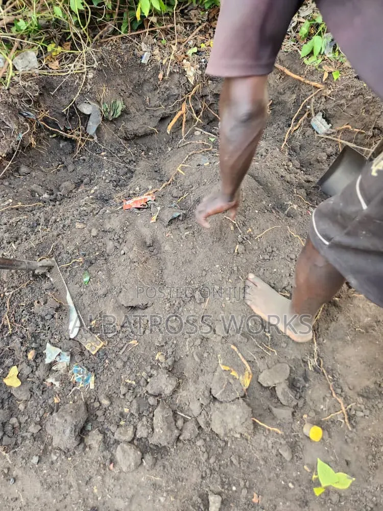 Black Soil/Loamy Soil