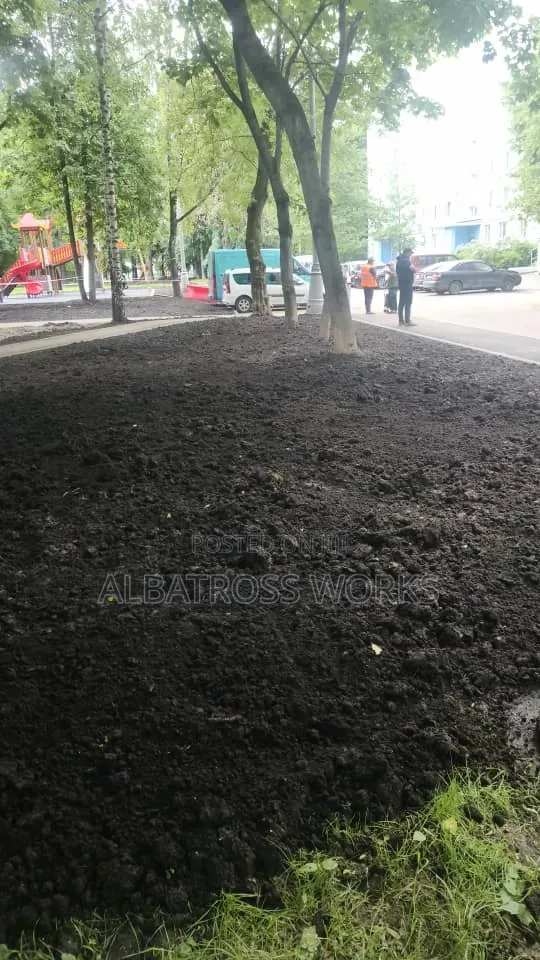 Black Soil/Loamy Soil
