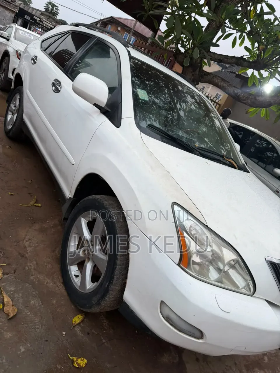 Lexus RX 2006 White