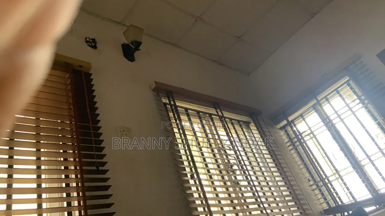 Window Blind