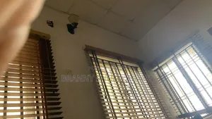 Window Blind