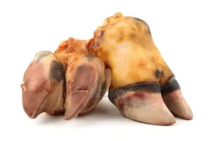 Cow Leg (Big Size)