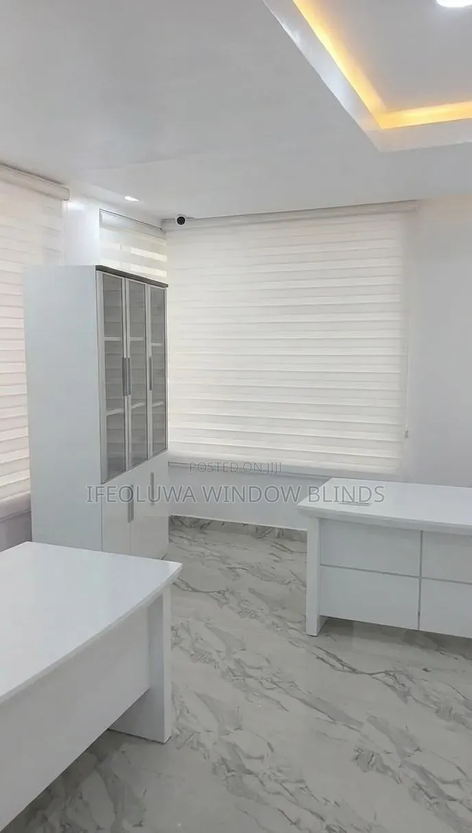 White Day and Night Window Blinds