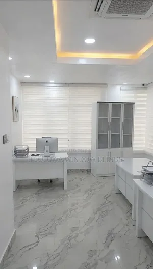 White Day and Night Window Blinds