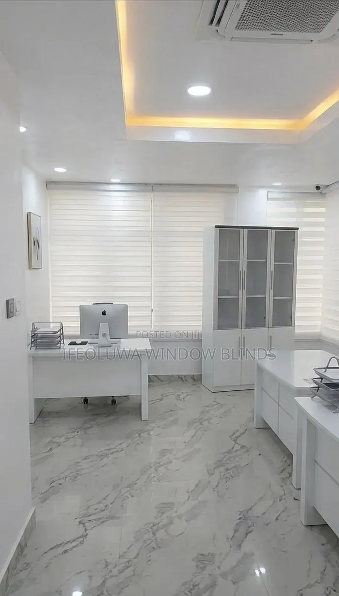White Day and Night Window Blinds