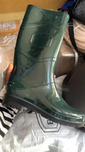 Rainboot 002
