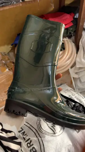 Rainboot 002