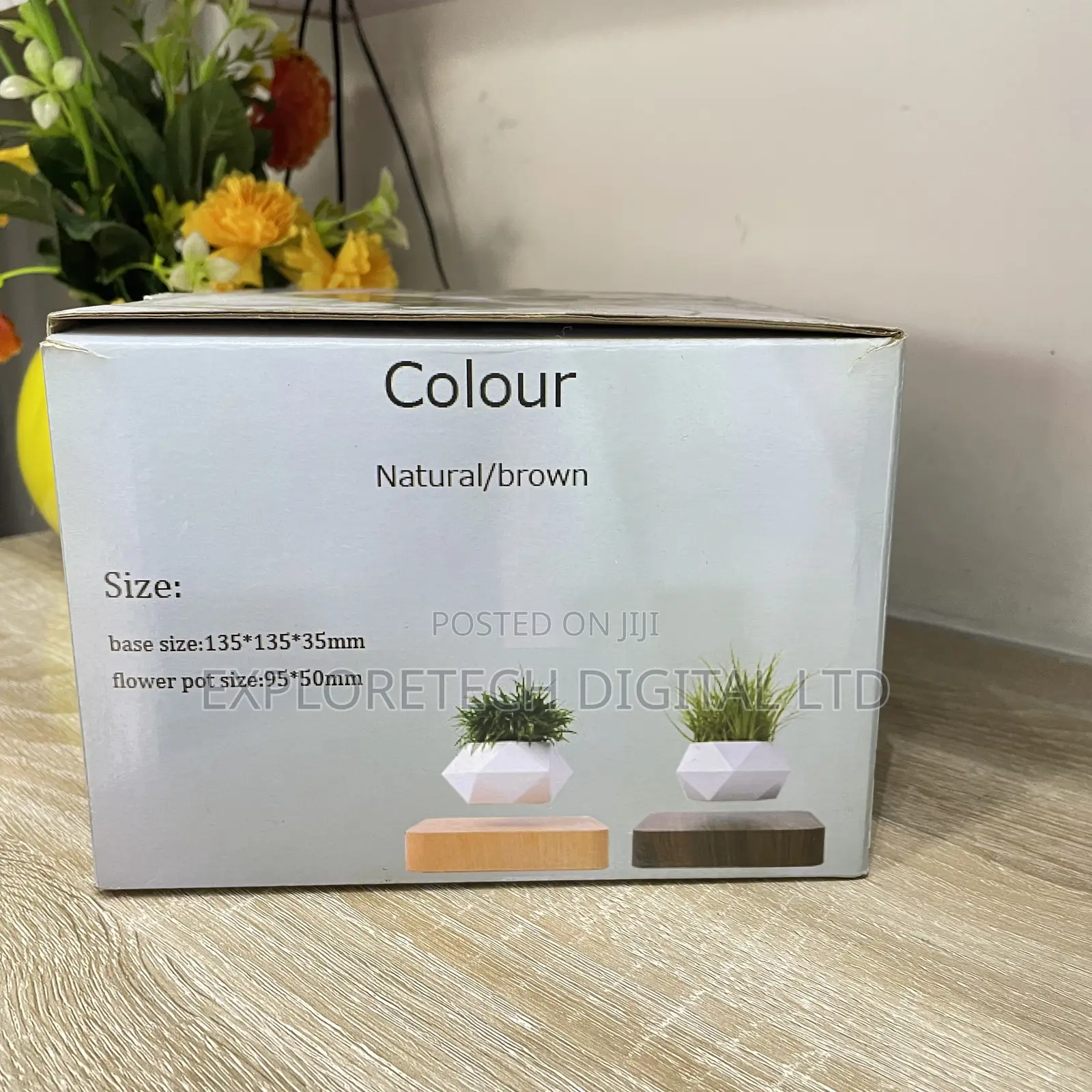 Flower Pot Floating Table Top Decore