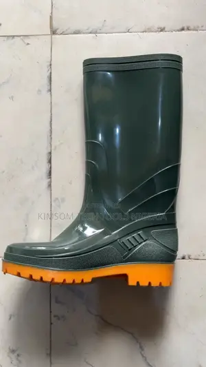 Rainboot 003