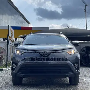 Toyota RAV4 XLE AWD (2.5L 4cyl 6A) 2016 Gray